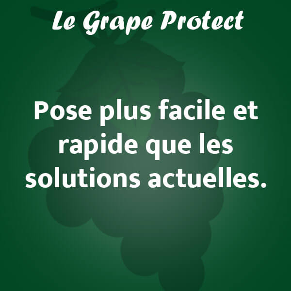 Le filet pare-grêle pour vigne d'Alphatex se pose facilement et rapidement