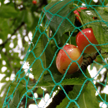 Arbotex - Filet anti-oiseaux d'Alphatex